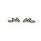PEARL silver earrings