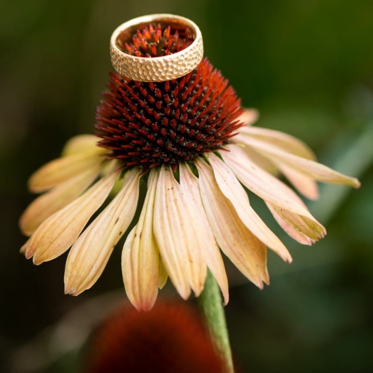obrączka srebrna Dot